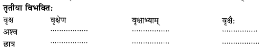 Class 6 Sanskrit Grammar Book Solutions संज्ञा शब्द-रूपाणि तथा वाक्यप्रयोगः 6