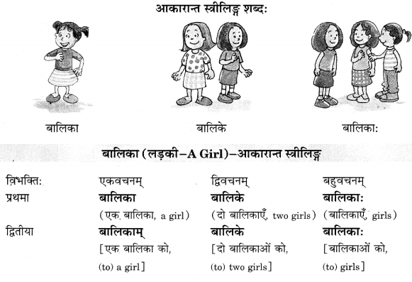 Class 6 Sanskrit Grammar Book Solutions संज्ञा शब्द-रूपाणि तथा वाक्यप्रयोगः 7