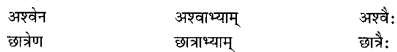 Class 6 Sanskrit Grammar Book Solutions संज्ञा शब्द-रूपाणि तथा वाक्यप्रयोगः 7