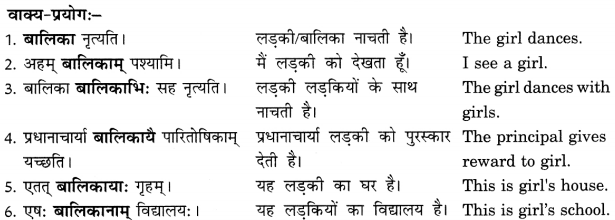 Class 6 Sanskrit Grammar Book Solutions संज्ञा शब्द-रूपाणि तथा वाक्यप्रयोगः 9