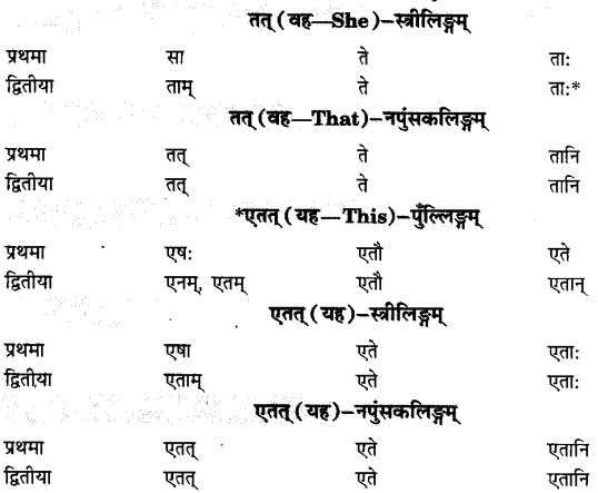 Class 6 Sanskrit Grammar Book Solutions सर्वनाम शब्द-रूपाणि तथा वाक्यप्रयोगः 10