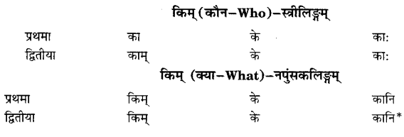 Class 6 Sanskrit Grammar Book Solutions सर्वनाम शब्द-रूपाणि तथा वाक्यप्रयोगः 14