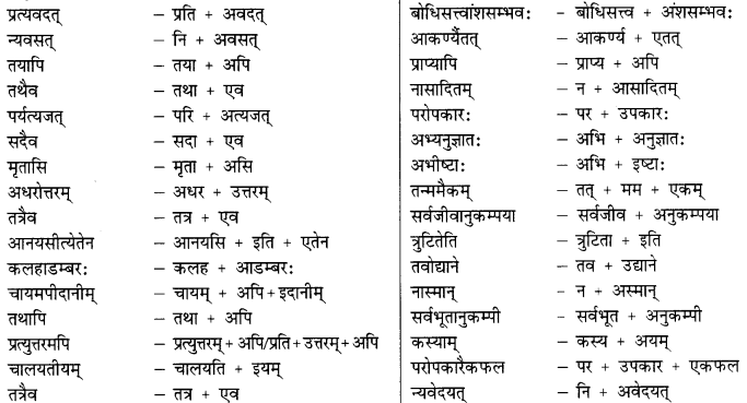 Class 9 Sanskrit Grammar Book Solutions सन्धिः 10