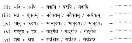 Class 9 Sanskrit Grammar Book Solutions सन्धिः 2