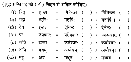 Class 9 Sanskrit Grammar Book Solutions सन्धिः 4