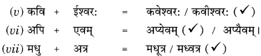 Class 9 Sanskrit Grammar Book Solutions सन्धिः 6