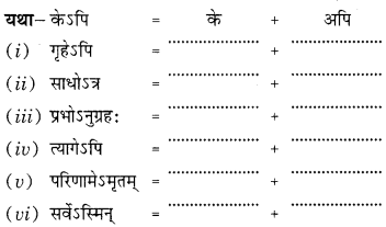 Class 9 Sanskrit Grammar Book Solutions सन्धिः 8