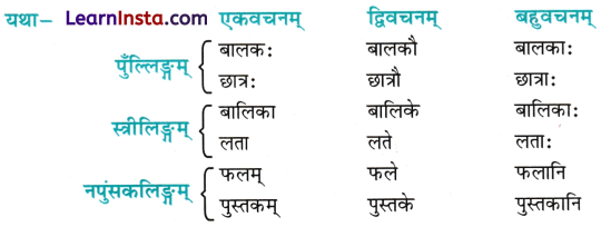 Ling, Vachan, Purush in Sanskrit Class 6 लिङ्ग वचनम् पुरुषः 2