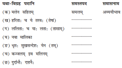NCERT Solutions for Class 10 Sanskrit Shemushi Chapter 1 शुचिपर्यावरणम् Q6