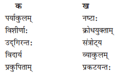 Solutions Class 10 शेमुषी भाग 2 Chapter-10 (भूकंपविभीषिका)