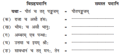 Solutions Class 10 शेमुषी भाग 2 Chapter-12 (अनयोक्त्यः)