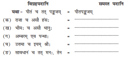 NCERT Solutions for Class 10 Sanskrit Shemushi Chapter 12 अनयोक्त्यः Q7