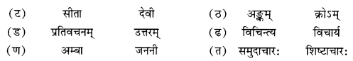 NCERT Solutions for Class 10 Sanskrit Shemushi Chapter 4 शिशुलालनम् Additional Q7.2