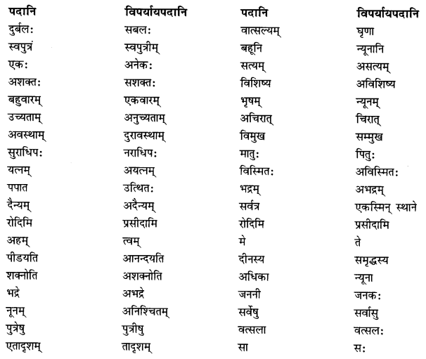 NCERT Solutions for Class 10 Sanskrit Shemushi Chapter 5 जननी तुल्यवत्सला Additional Q10.1