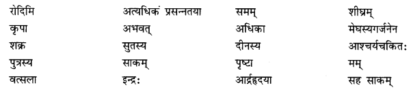 NCERT Solutions for Class 10 Sanskrit Shemushi Chapter 5 जननी तुल्यवत्सला Additional Q8.1
