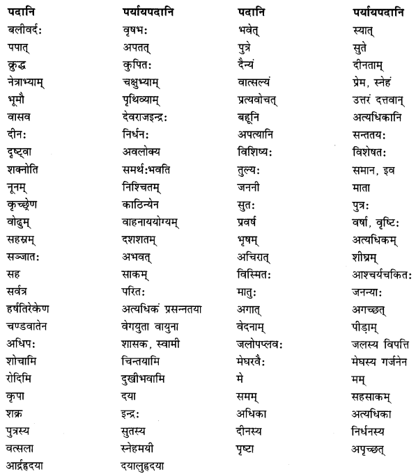 NCERT Solutions for Class 10 Sanskrit Shemushi Chapter 5 जननी तुल्यवत्सला Additional Q8.2