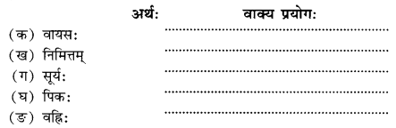 NCERT Solutions for Class 10 Sanskrit Shemushi Chapter 6 सुभाषितानि Q7