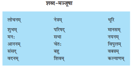 Solutions Class 10 शेमुषी भाग 2 Chapter-9 (सूक्तयः)