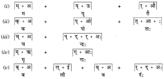 NCERT Solutions for Class 6 Sanskrit Chapter 1 शब्द परिचयः 1.15