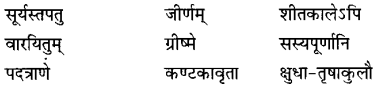 NCERT Solutions for Class 6 Sanskrit Chapter 10 कृषिकाः कर्मवीराः 1