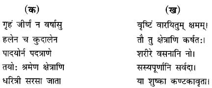 NCERT Solutions for Class 6 Sanskrit Chapter 10 कृषिकाः कर्मवीराः 3