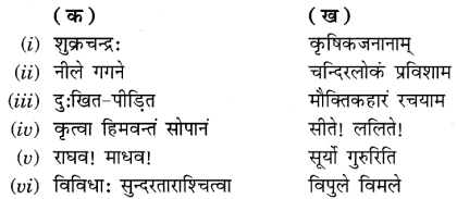NCERT Solutions for Class 6 Sanskrit Chapter 13 विमानयानं रचयाम 3