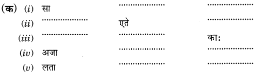NCERT Solutions for Class 6 Sanskrit Chapter 2 शब्द परिचयः 2.12