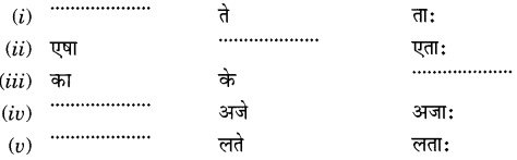 NCERT Solutions for Class 6 Sanskrit Chapter 2 शब्द परिचयः 2.13