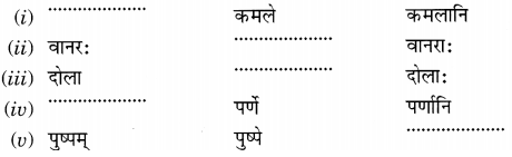 NCERT Solutions for Class 6 Sanskrit Chapter 3 शब्द परिचयः 3.12
