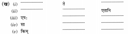 NCERT Solutions for Class 6 Sanskrit Chapter 3 शब्द परिचयः 3.13
