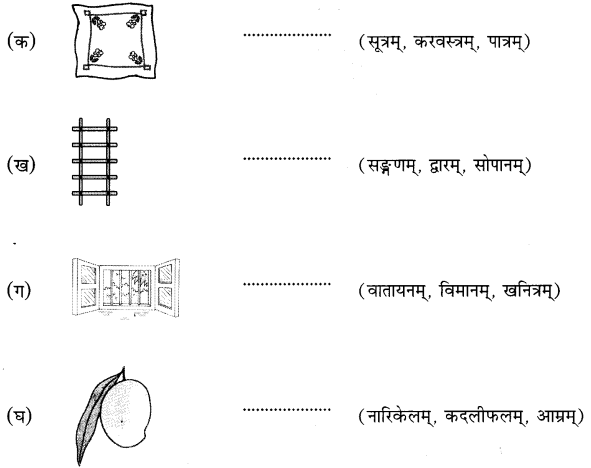 NCERT Solutions for Class 6 Sanskrit Chapter 3 शब्द परिचयः 3.19