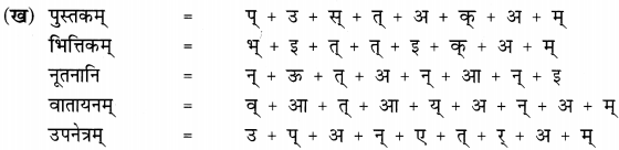 Sanskrit Chapter 3 Class 6 Ncert Solutions