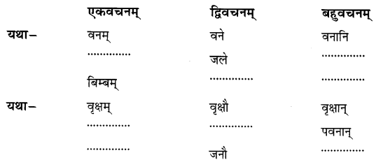 Class 6 Sanskrit Chapter 5 Solution