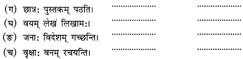 Chapter 5 Class 6 Sanskrit