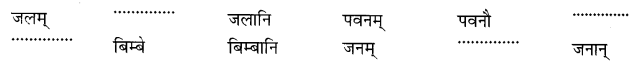 Ncert Class 6 Sanskrit Chapter 5 Solution