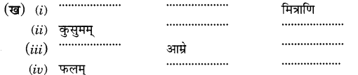 Class 6th Sanskrit Chapter 5 Solution