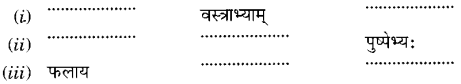 Class 6 Sanskrit Ch 6 Solutions
