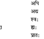 NCERT Solutions for Class 6 Sanskrit Chapter 7 बकस्य प्रतिकारः 1