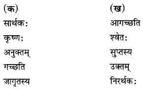 Sanskrit Ch 8 Class 6