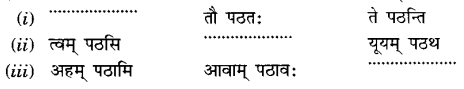 NCERT Solutions for Class 6 Sanskrit Chapter 9 क्रीडास्पर्धा 12