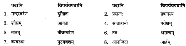 NCERT Solutions for Class 9 Sanskrit Shemushi Chapter 3 गोदोहनम् 4