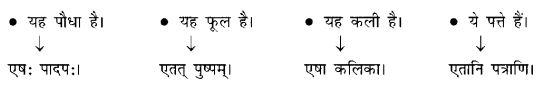 Sanskrit Anuvad Class 6 - Anuvad in Sanskrit Class 6 3