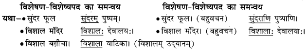 Sanskrit Anuvad Class 6 - Anuvad in Sanskrit Class 6 6
