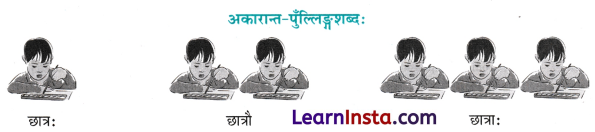 Shabd Roop in Sanskrit Class 6 शब्द रूप 1