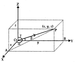 Vector Algebra Class 12 Notes Maths 3