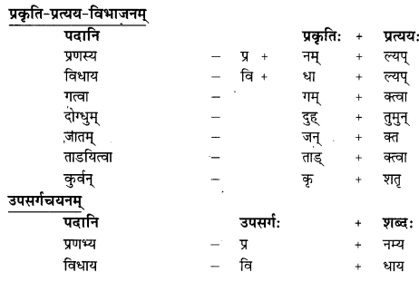 गोदोहनम् Summary Notes Class 9 Sanskrit Chapter 3.20