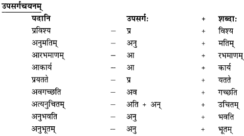 गोदोहनम् Summary Notes Class 9 Sanskrit Chapter 3.24