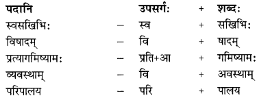 गोदोहनम् Summary Notes Class 9 Sanskrit Chapter 3.4
