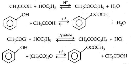 Alcohols, Phenols and Ethers Class 12 Notes Chemistry 41