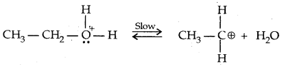 Alcohols, Phenols and Ethers Class 12 Notes Chemistry 46